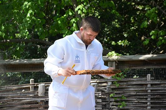 beekeeping